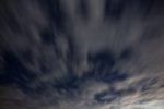 IMG_5450 thumbnail